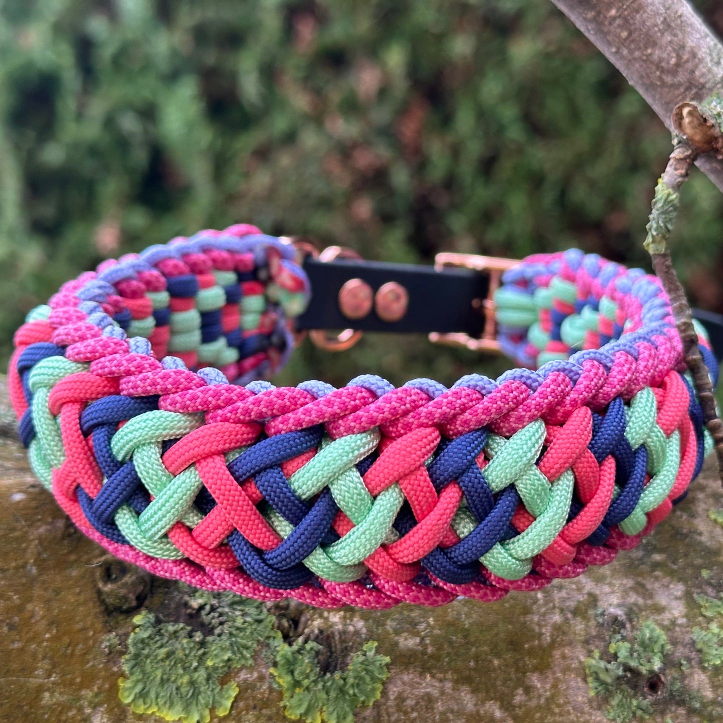 Baccoo`s Halsband