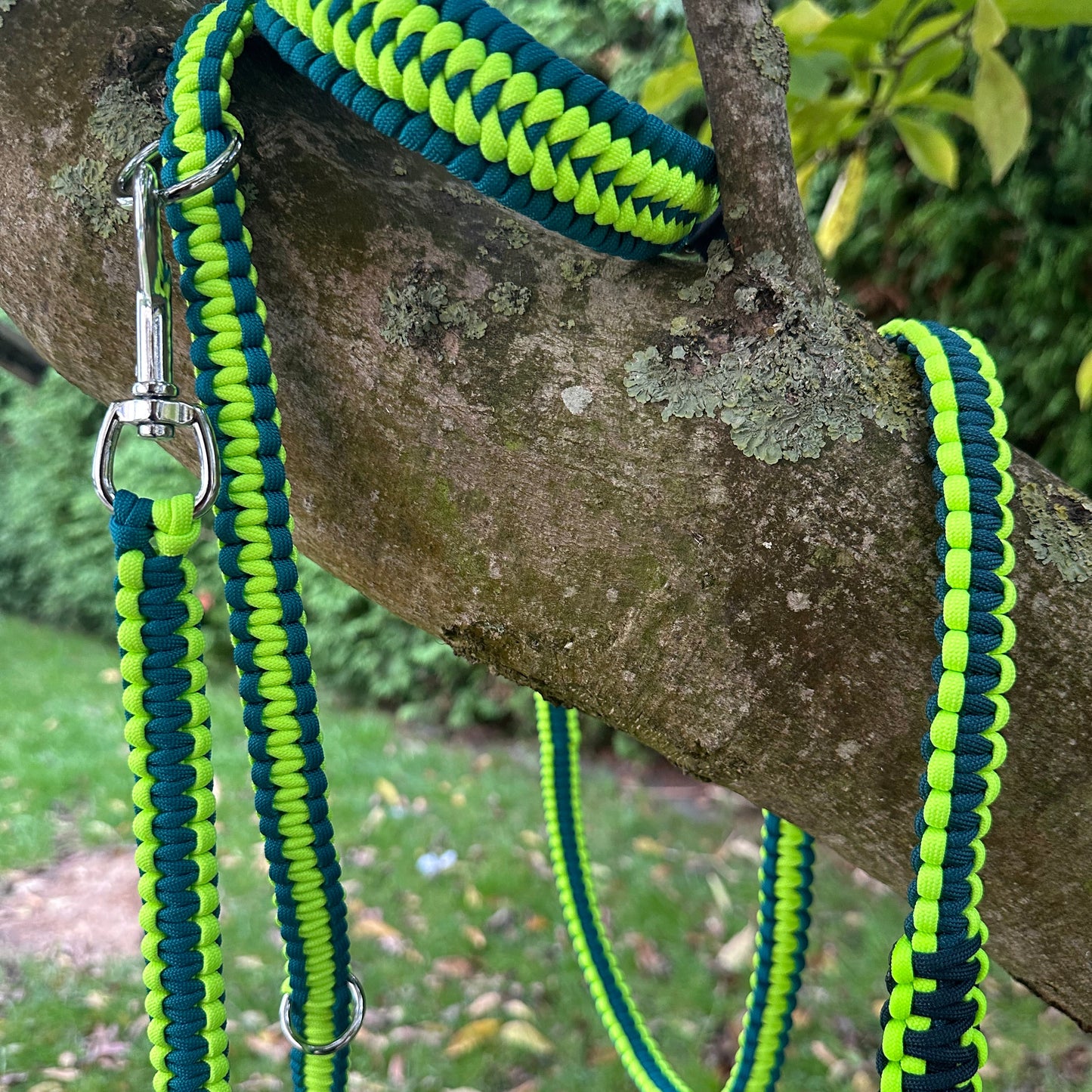 Kobraknoten
