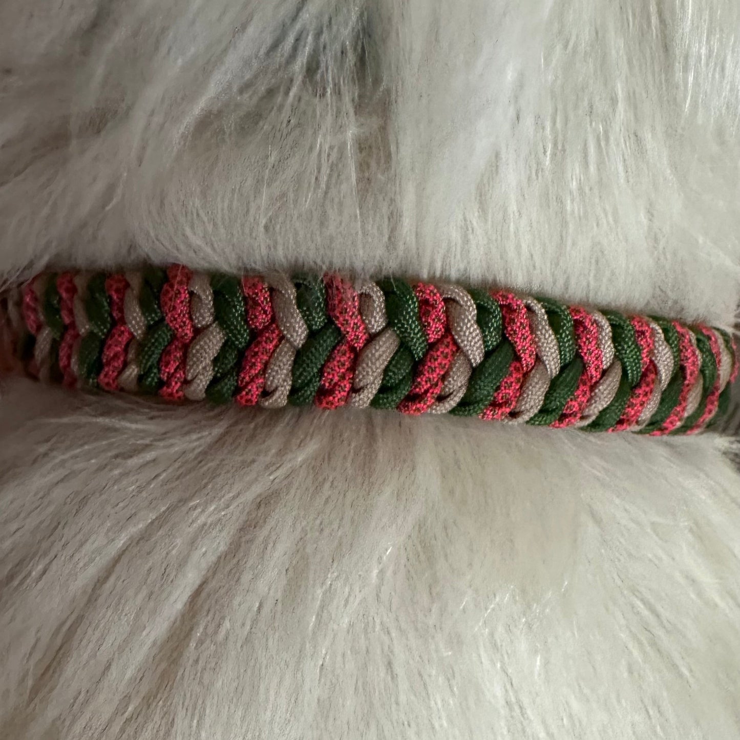 March Braid