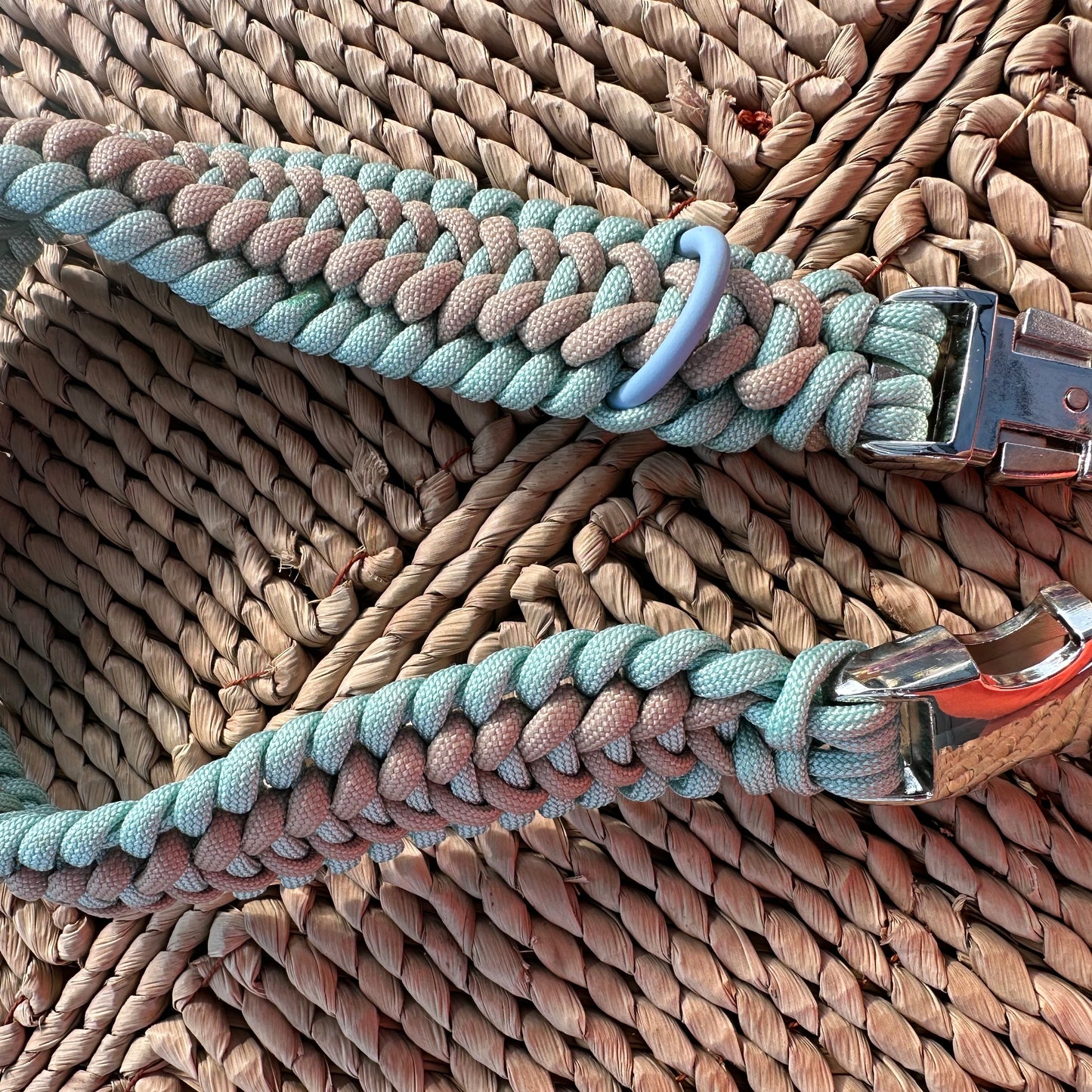 Trilobitenkieferknochen