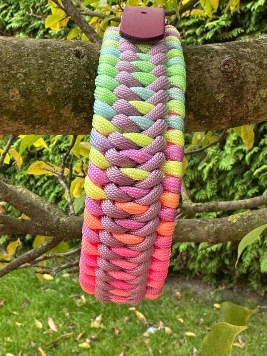 Trilobitenkieferknochen