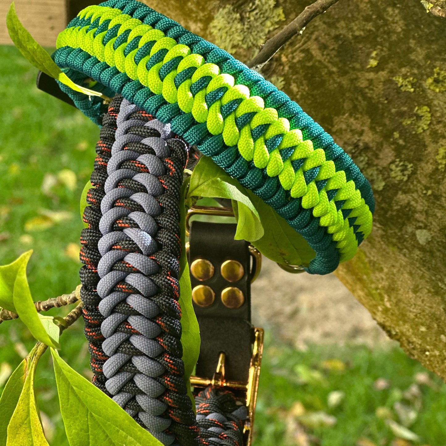 Trilobitenkieferknochen