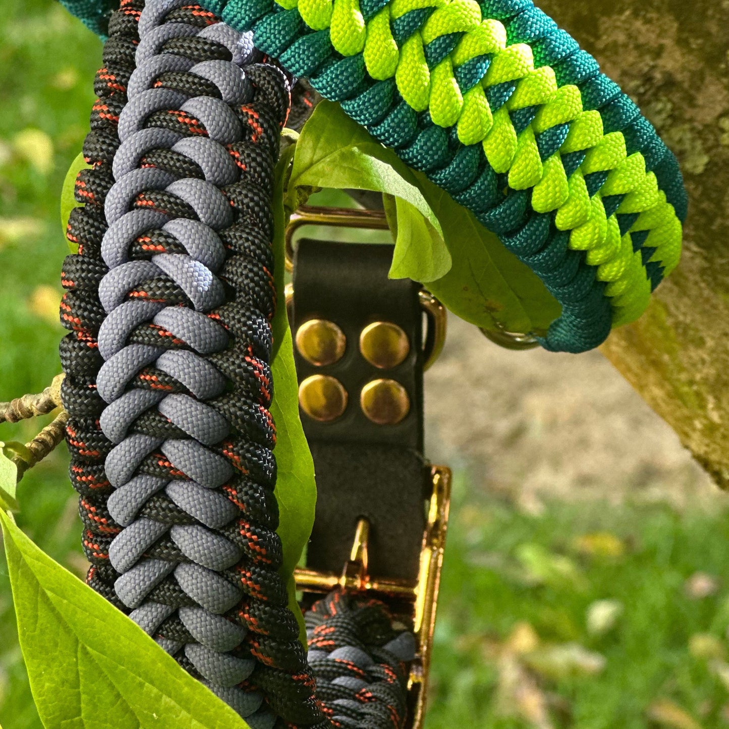 Trilobitenkieferknochen